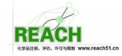 REACH�yԇ�Ŀ����Щ,�z�y������ʲô?
